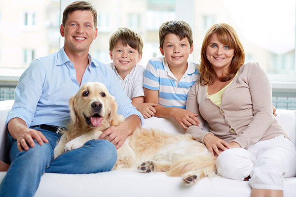 What To Look For In A Family Dentist